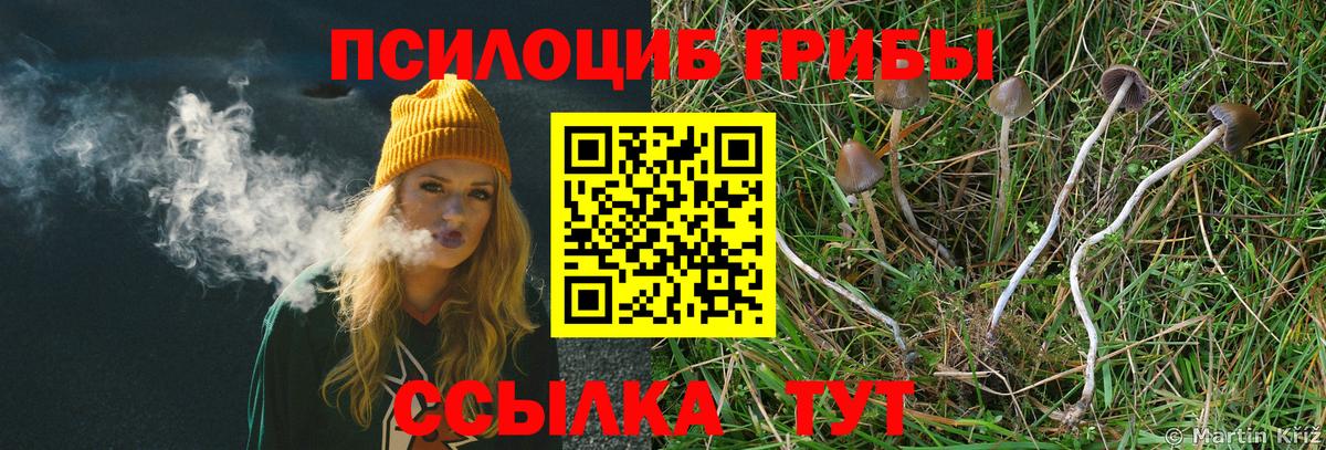 Псилоцибиновые грибы GOLDEN TEACHER Балаково